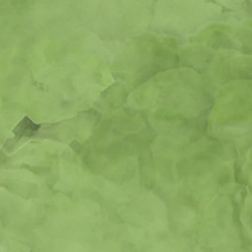 Picnic Area Disneyland Resort